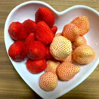 Snapdishの料理写真:🍓苺🍓　　たくさんいただいたので💕|acoさん