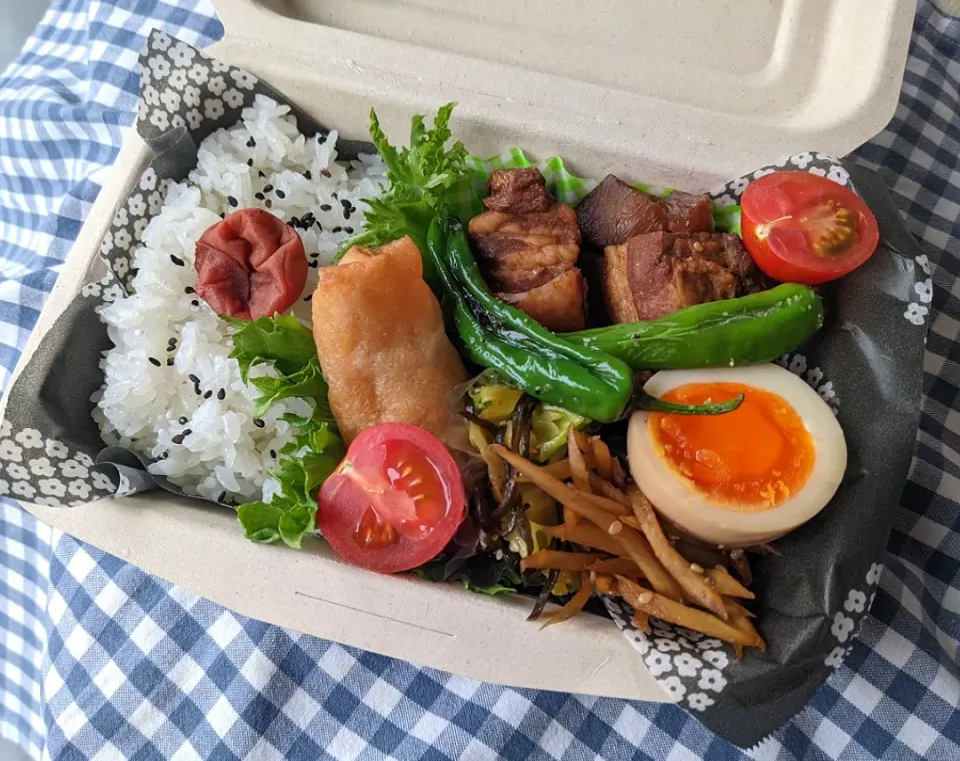 Snapdishの料理写真:今日のお弁当🍱|しほさん