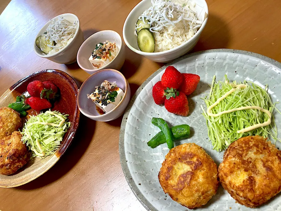 Snapdishの料理写真:大豆のお肉コロッケ、冷奴、しらすご飯🍚(▰˘◡˘▰)|さくたえさん