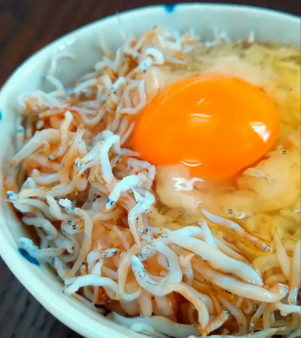 しらすの卵かけご飯🥚🍚|じょうさん