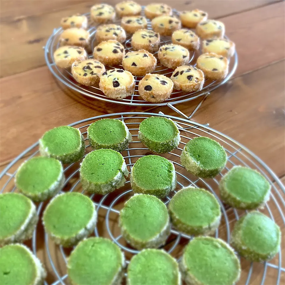 ディアマンクッキー♪抹茶とチョコチップ☆|ましてさん