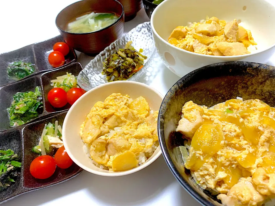 Snapdishの料理写真:親子丼　ほうれん草の海苔和え　中華風サラダ|ゆりえさん