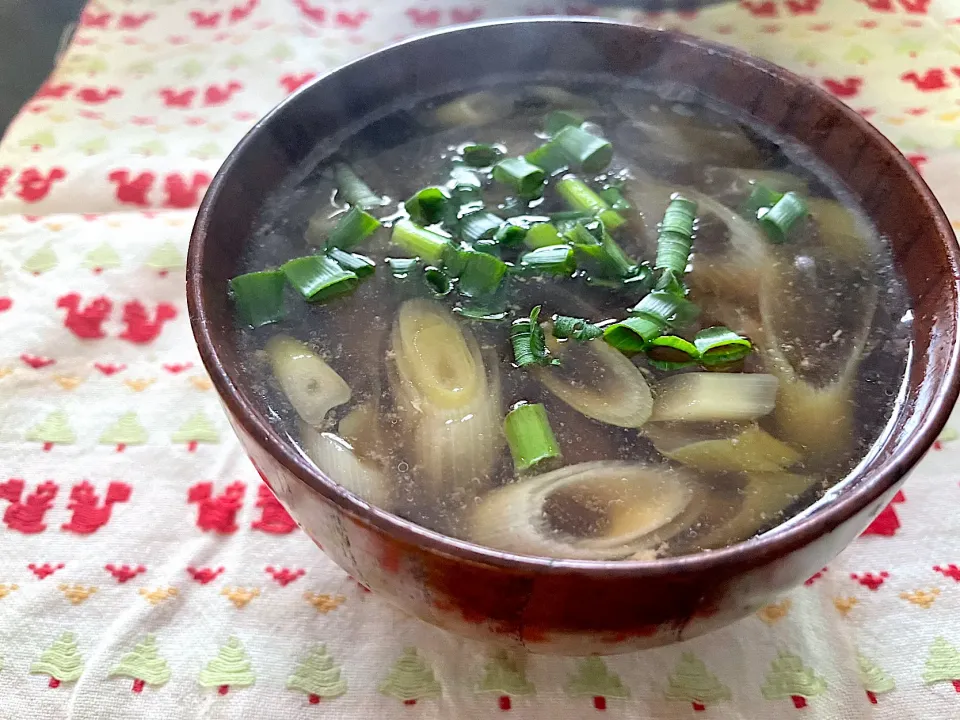 Snapdishの料理写真:鶏肉とごぼうの生姜スープ|ハルさん