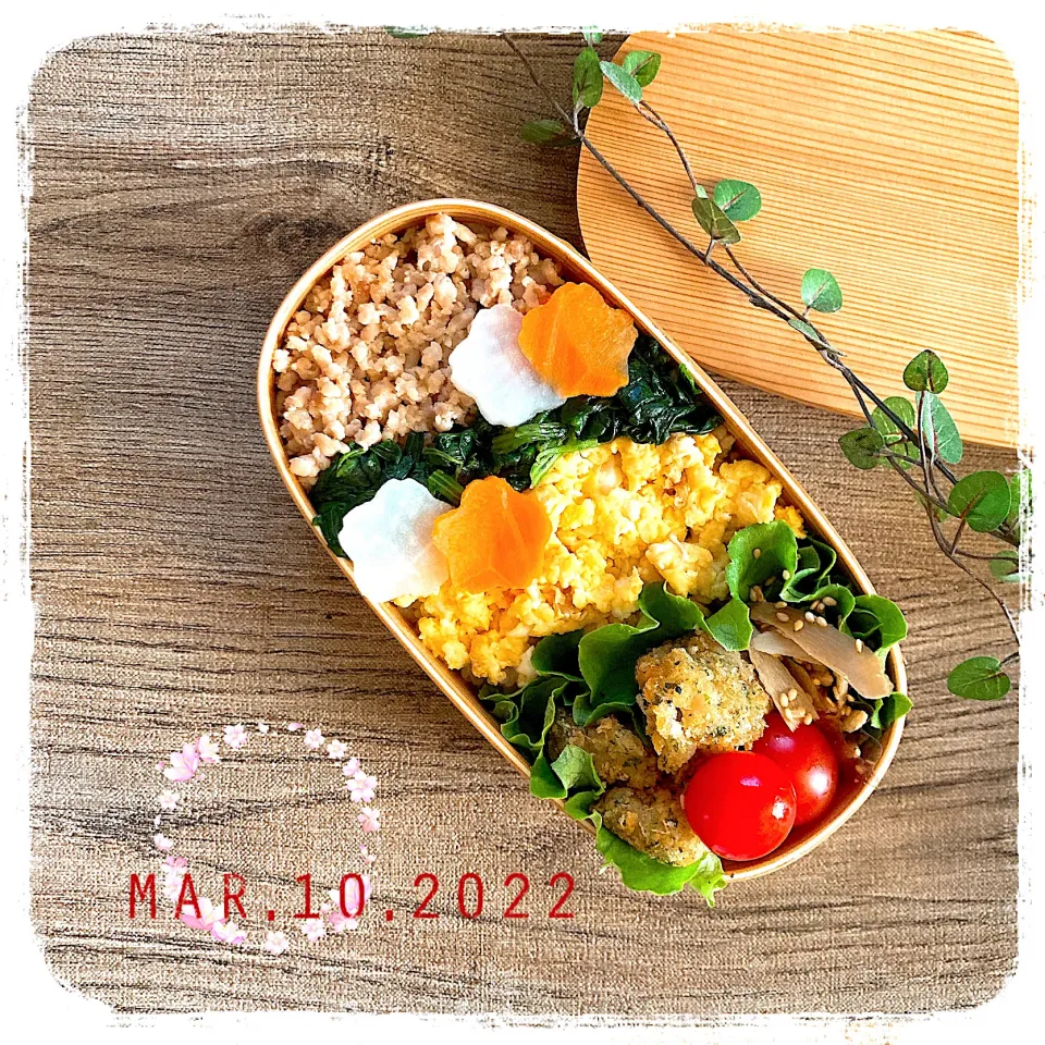 3/10 ☺︎ 鶏そぼろ丼弁当✩.*˚|jon2さん