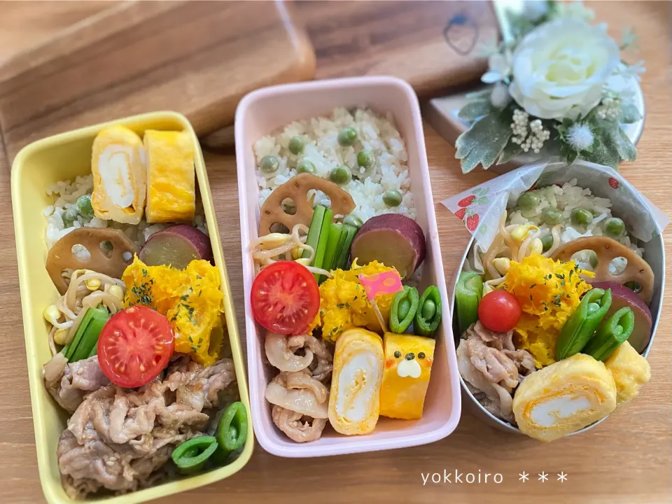 春弁当♩ウサギがいます🐰|yokkoiroさん