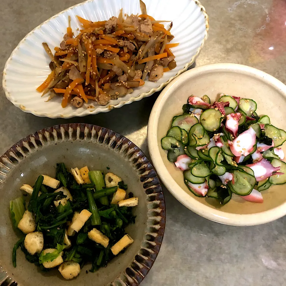 タコ酢・豚肉入りきんぴら・菊菜とカリカリ揚げ|nao子さん