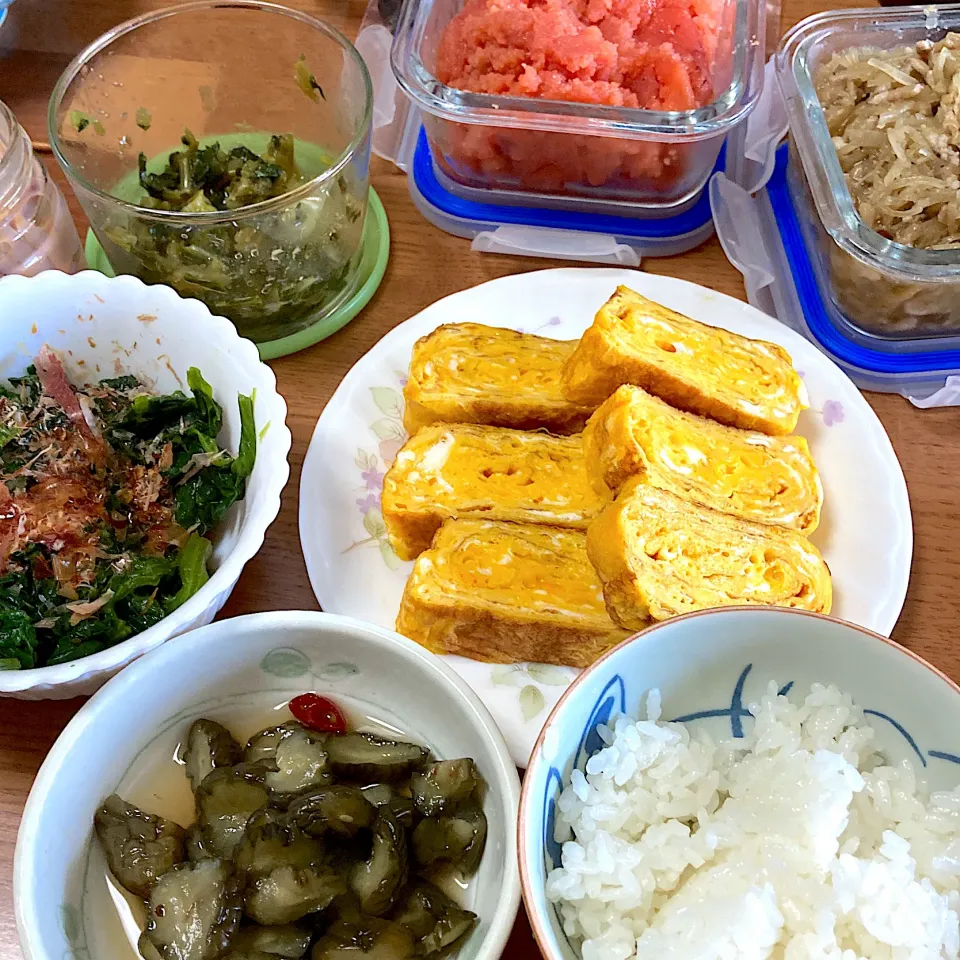 お昼ご飯|みんみんさん