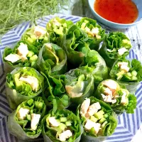 マユマユさんの料理 鶏肉と野菜の生春巻き