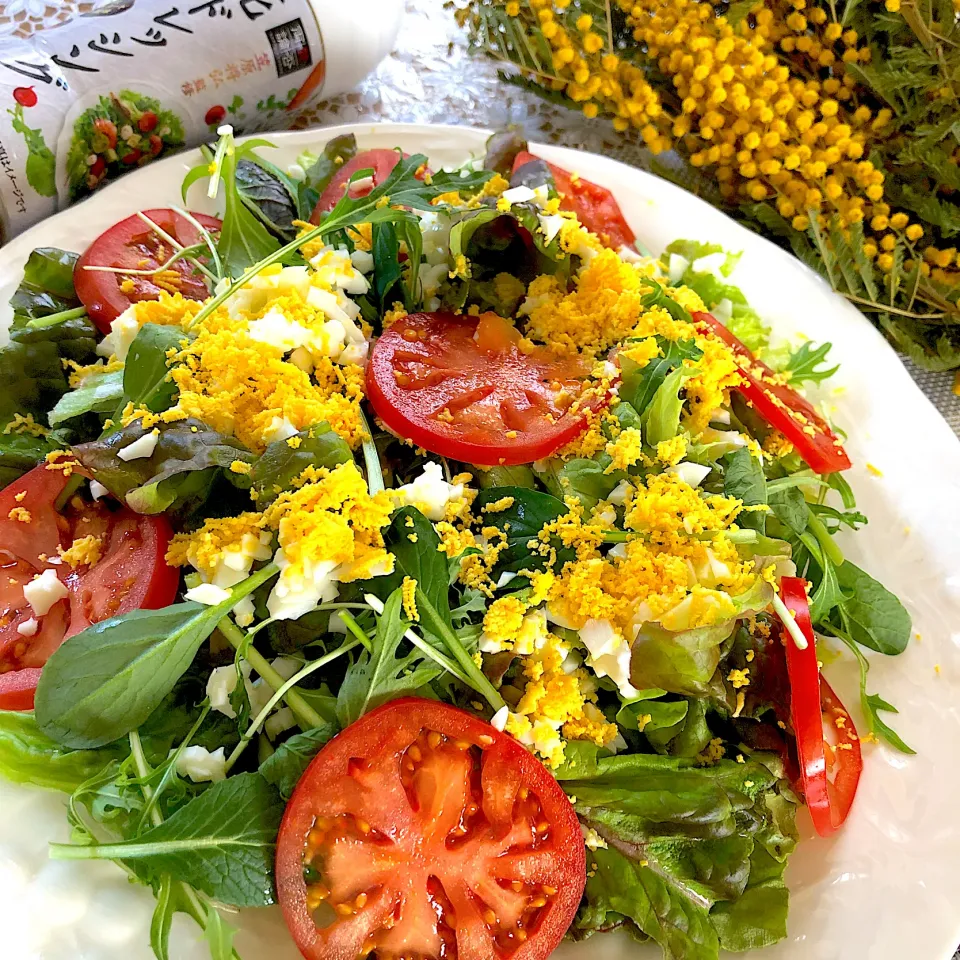 糀ドレッシングでいただくベビーリーフと春トマトのミモザさらだ🥗|さらっと🍀さん