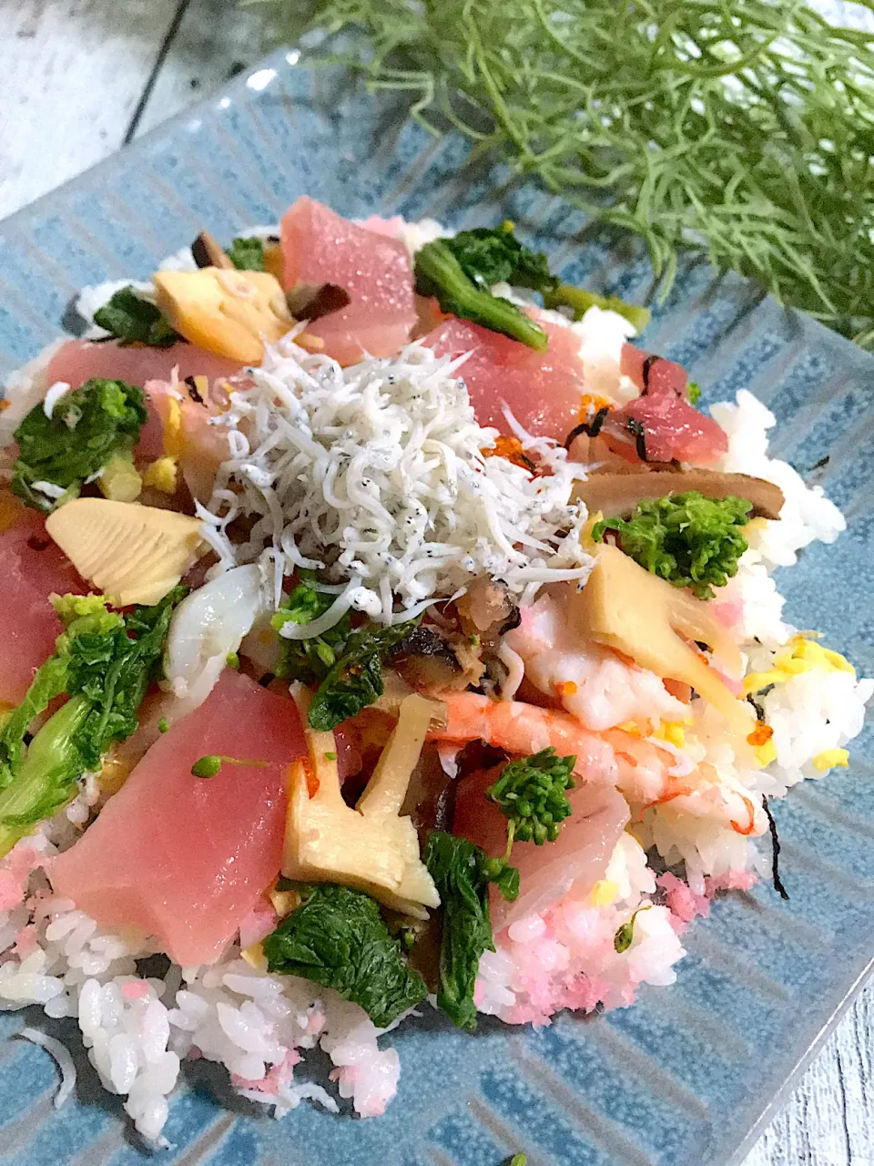 Snapdishの料理写真:ビンチョウマグロでちらし寿司🌸|🌺🌺Foodie🌺🌺さん