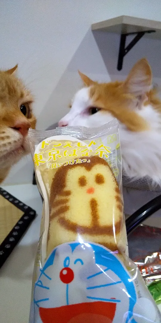 ドラえもん🍌東京バナナ🧡オイシイ😸|さくらんぼさん