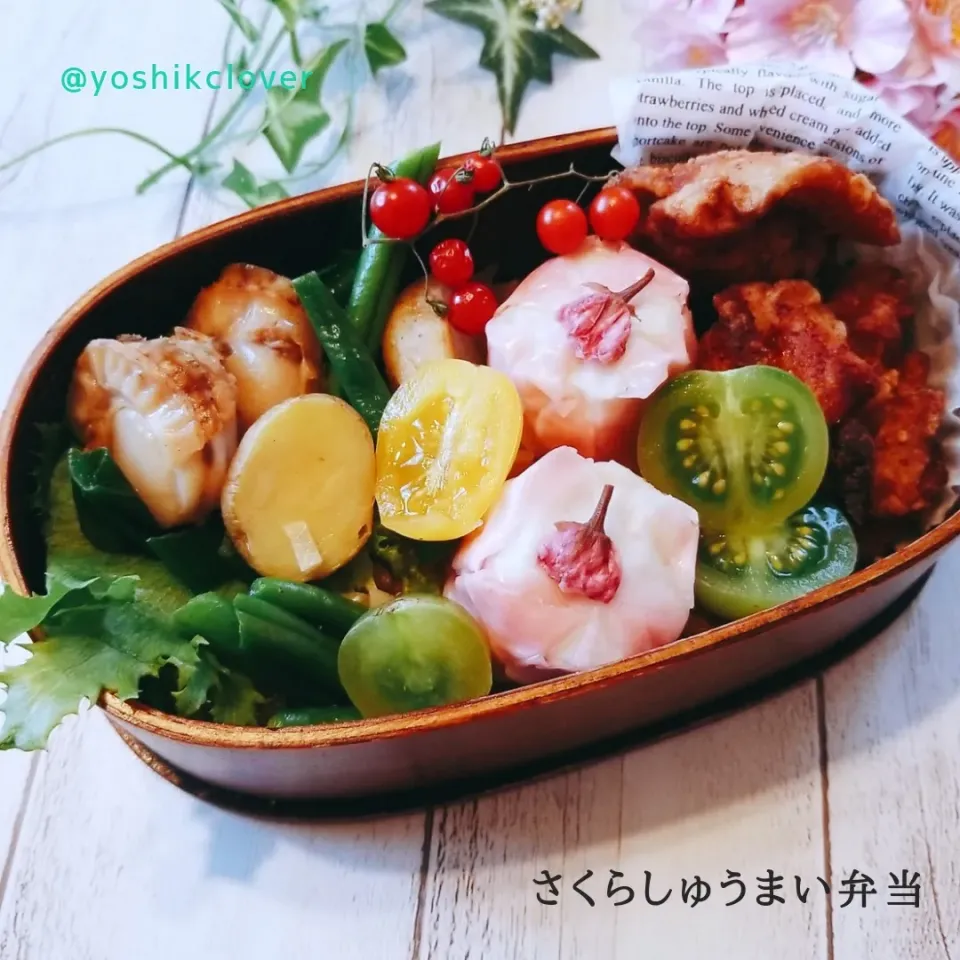 今日のお弁当。
桜しゅうまい🌸|yoshiyoshiさん