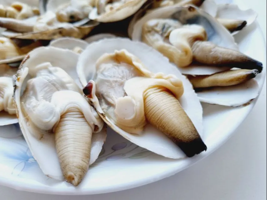 soft shell clams|steven z.y.さん