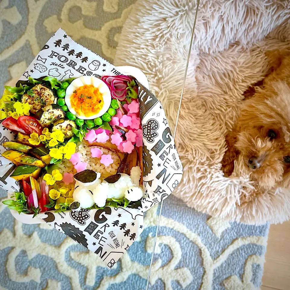 Snapdishの料理写真:🌼グルテンフリー桜の木下で菜の花とお昼寝中🌸|The Reinhartsさん