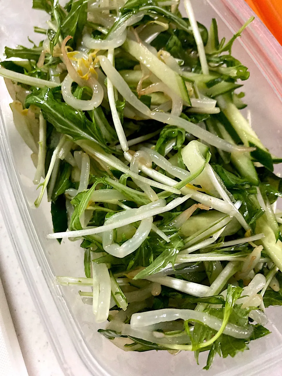 どっさり和物作り🥗|こえりさん