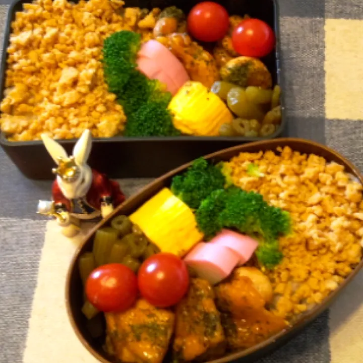 '22．3/22
本日のジジババ弁当🍱|たえさん