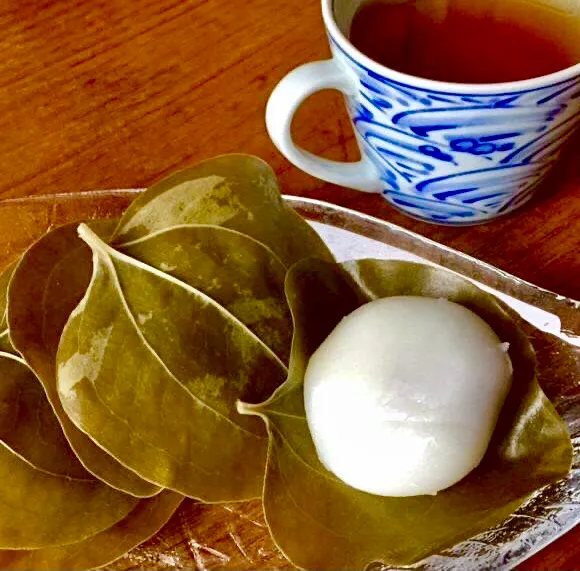 山帰来餅で朝ごはん・・|ばくあんしゃさん