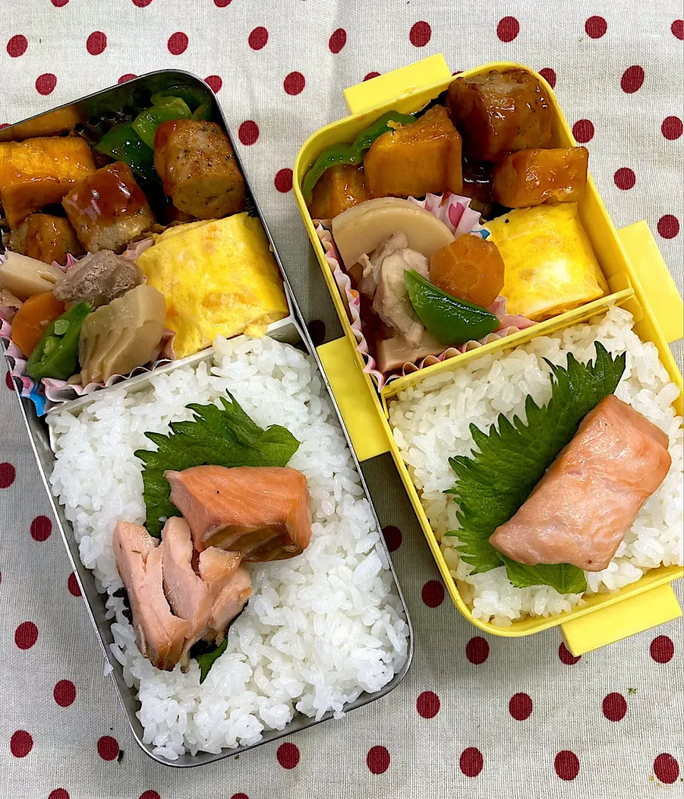 3月23日 普通の お弁当🍱|sakuramochiさん