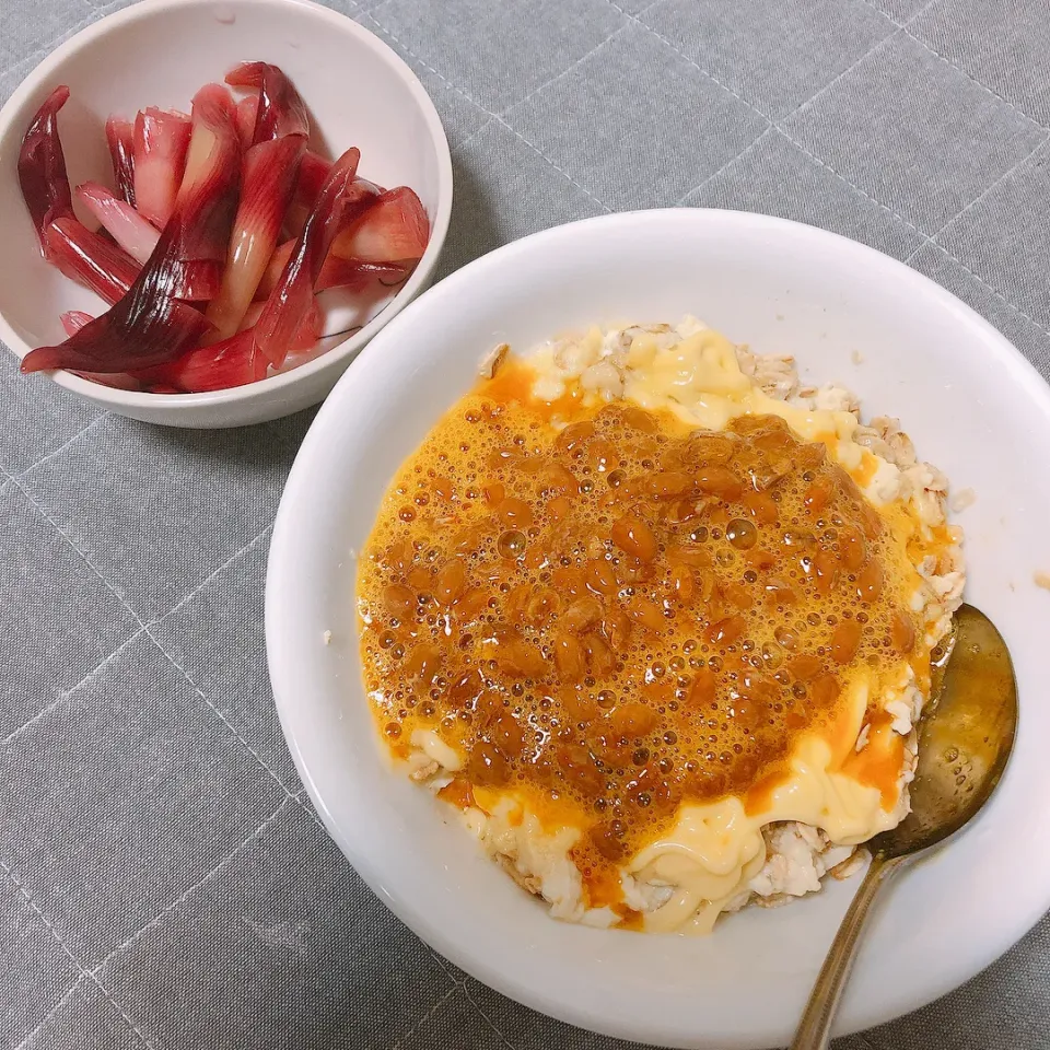 晩ご飯|まめさん