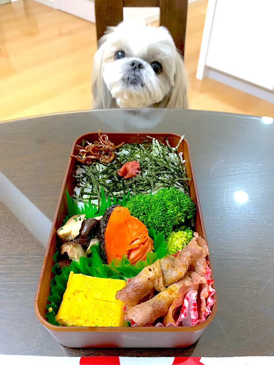 Snapdishの料理写真:3月24日　お弁当|プクママさん