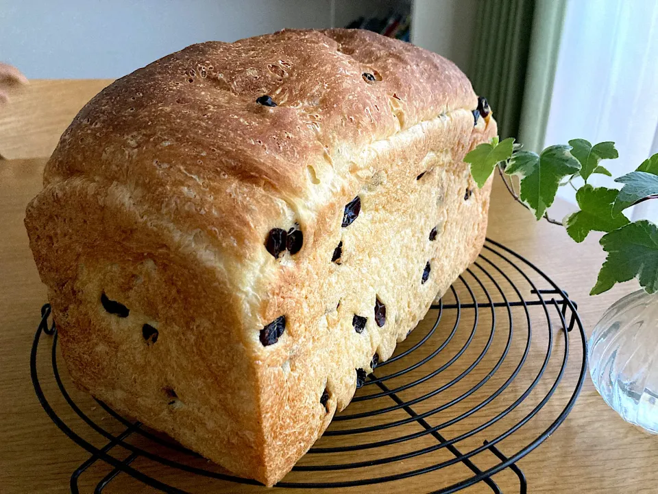 Snapdishの料理写真:＊レーズンたっぷりパン🍞＊|＊抹茶＊さん