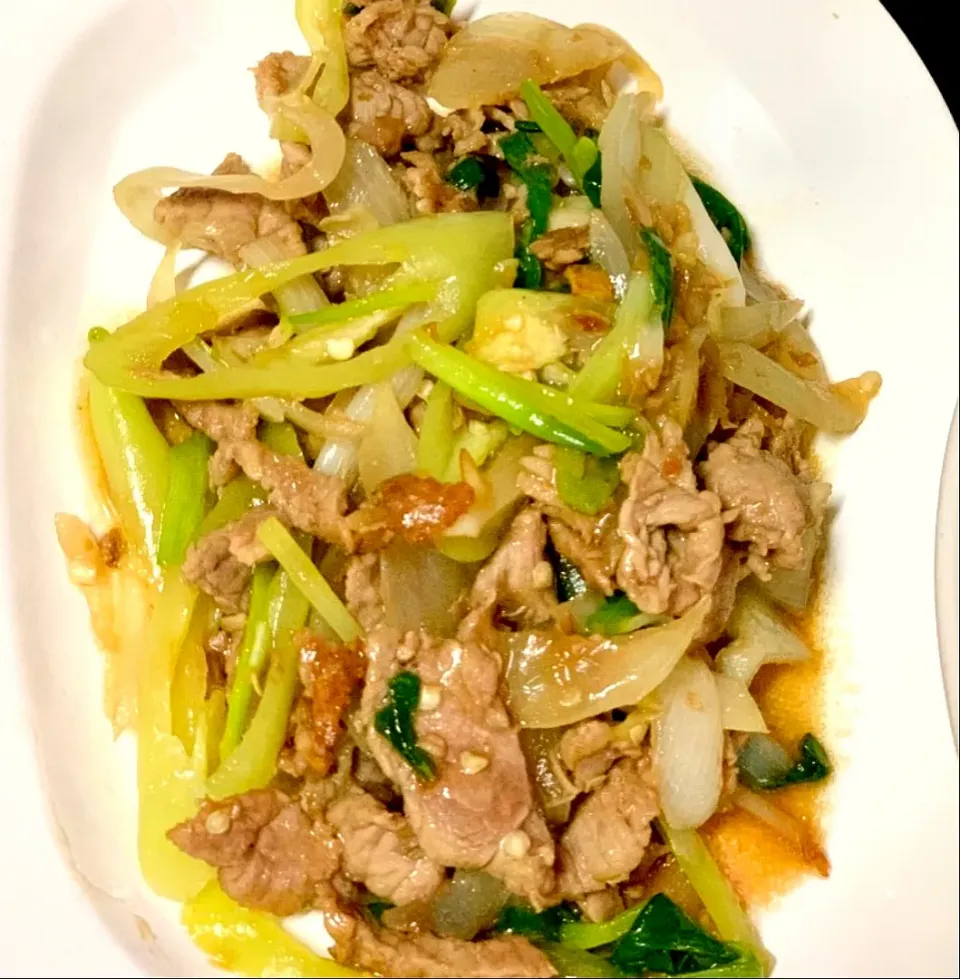 Snapdishの料理写真:Stir Fried Beef with Oyster Sauce|Janghunna Lisaさん