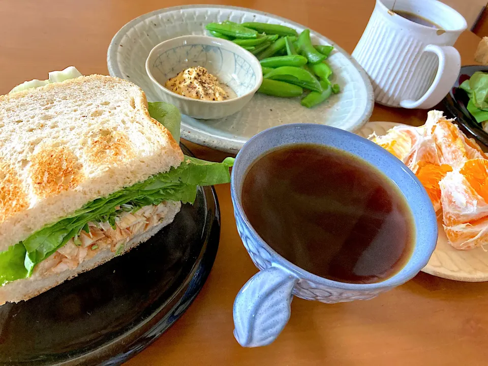 採れたてスナップインゲン🌱と自家製プルドチキンでわんぱくお野菜サンド❀.(*´◡`*)❀.|さくたえさん