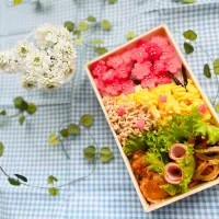 Snapdishの料理写真:「桜満開弁当」