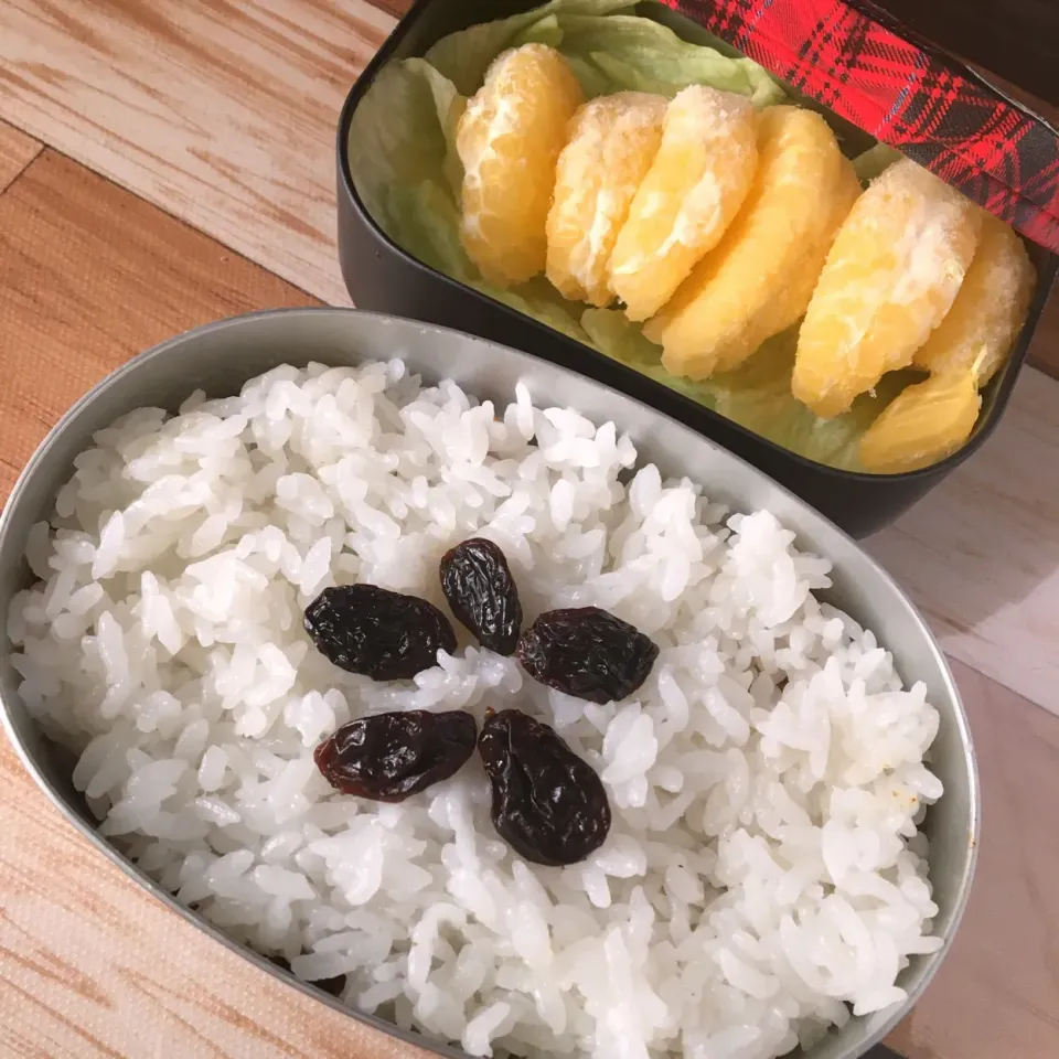 Snapdishの料理写真:今日もキーマカレー弁当|はるさん