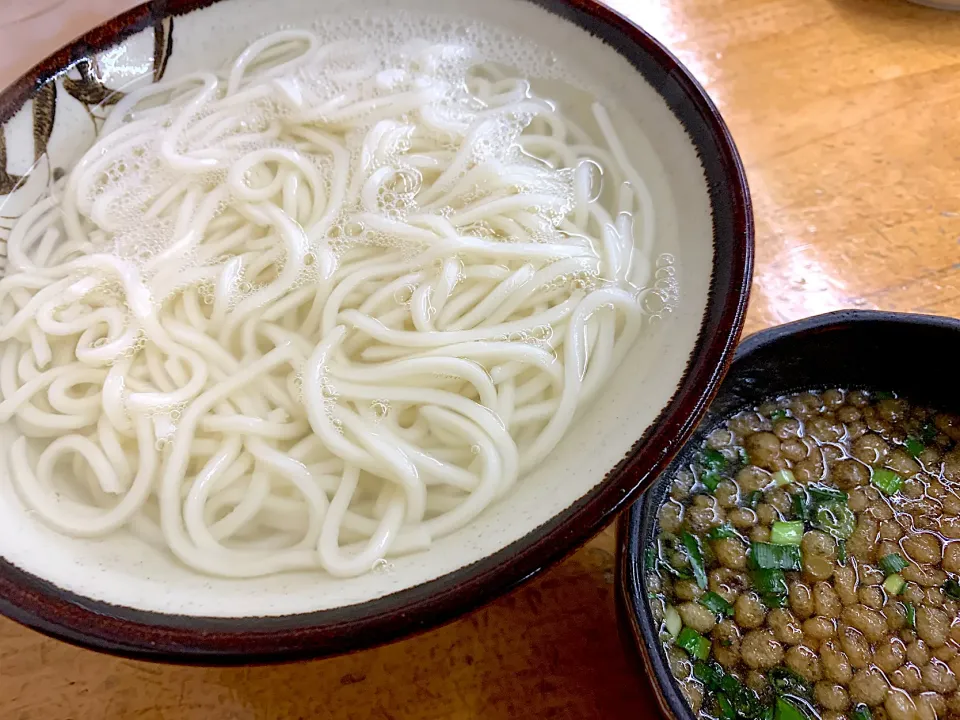 釜揚げうどん|ぶりっとさん