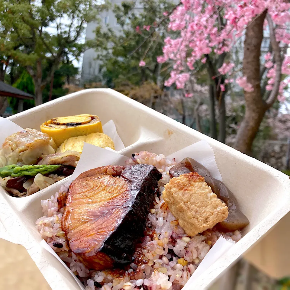 鰤の照り焼きでお花見弁当|Kさん