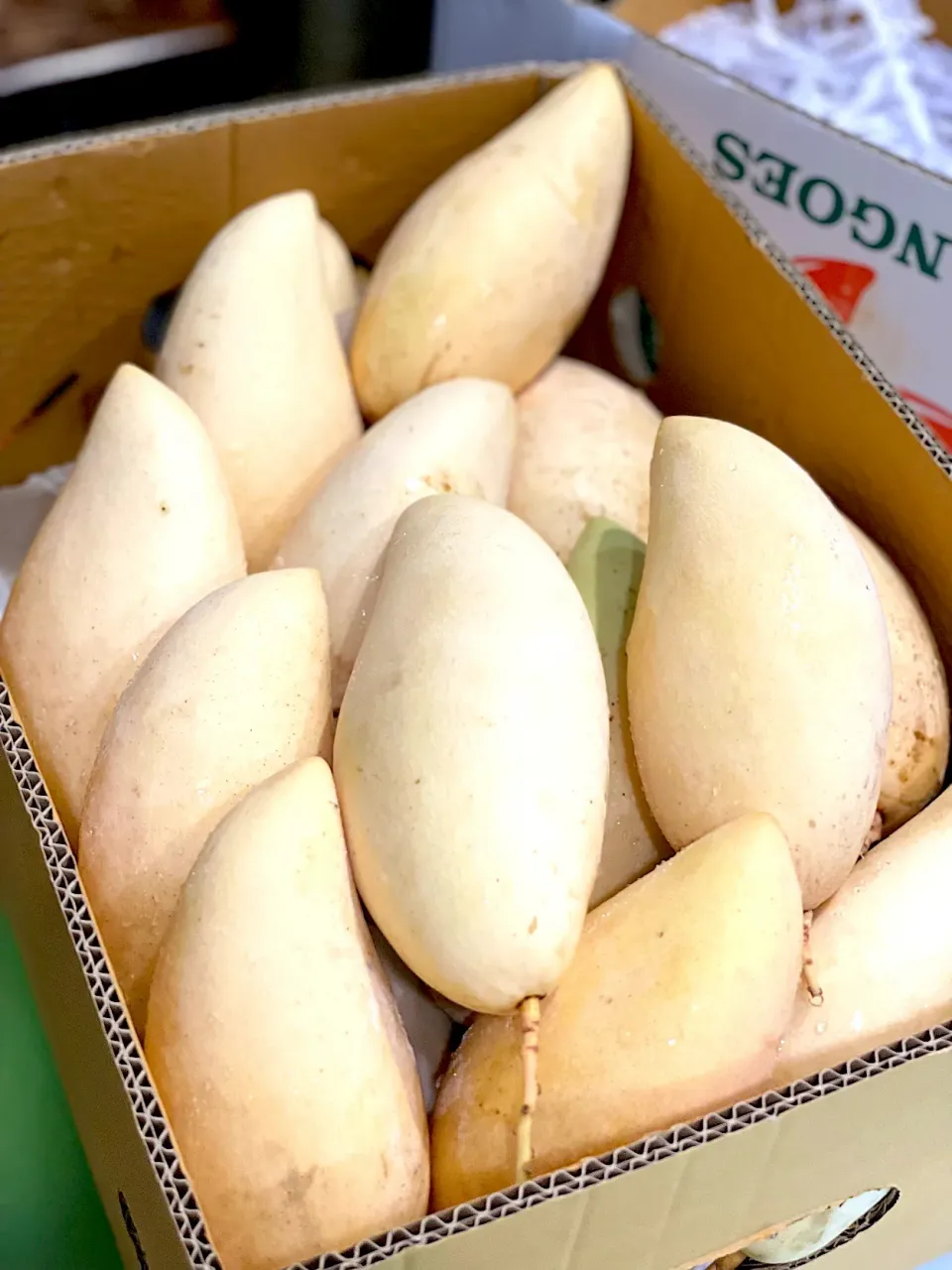 thai mangoes|hweeyhさん