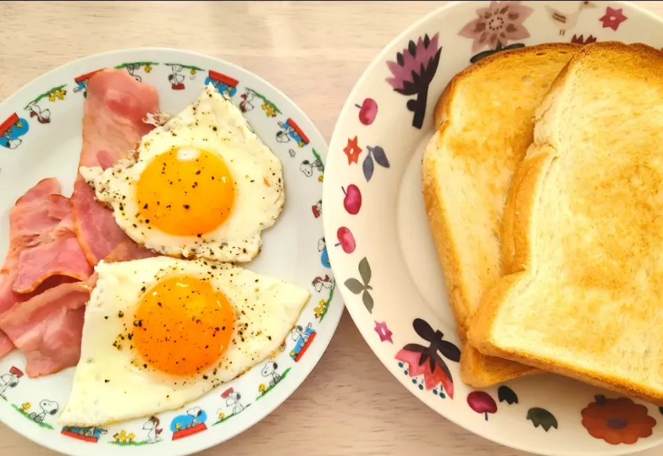 朝ごはん|コハクさん