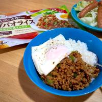 マルコメさんの【大豆のお肉で作る ガパオライス】
