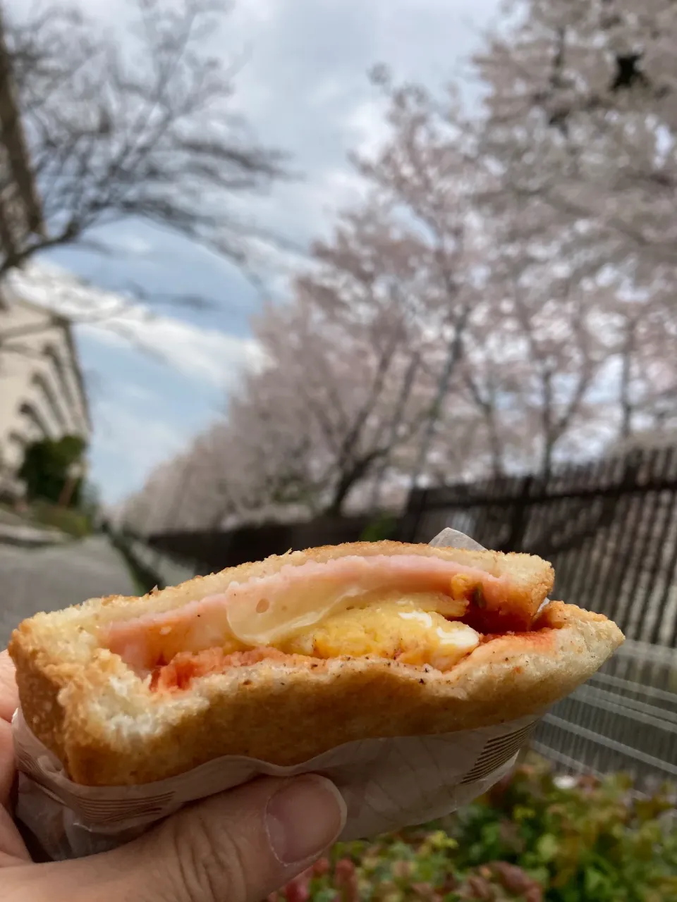 お花見🌸ホットサンド|MIEKO 沼澤三永子さん