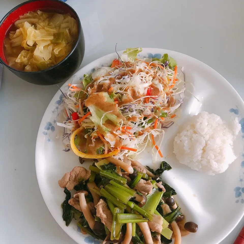 お昼ご飯|まめさん