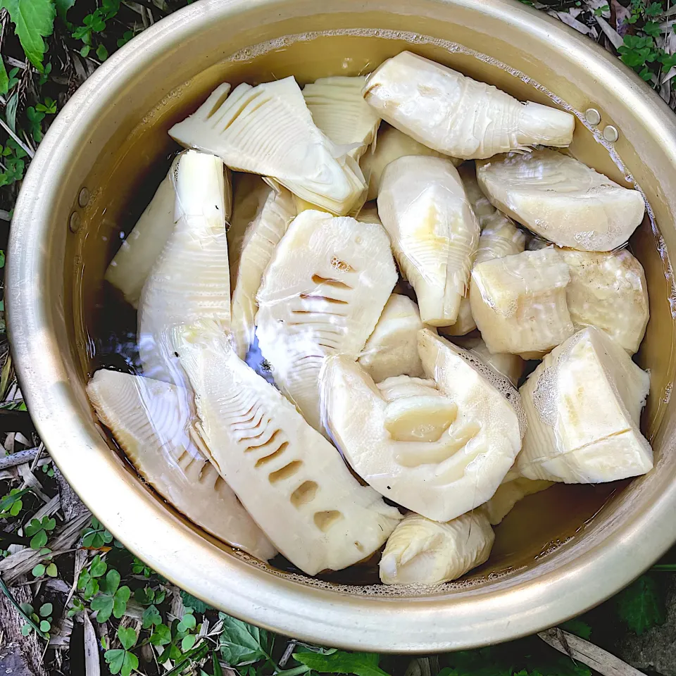 竹山にて掘りたて筍のボイル✨|美味飯さん