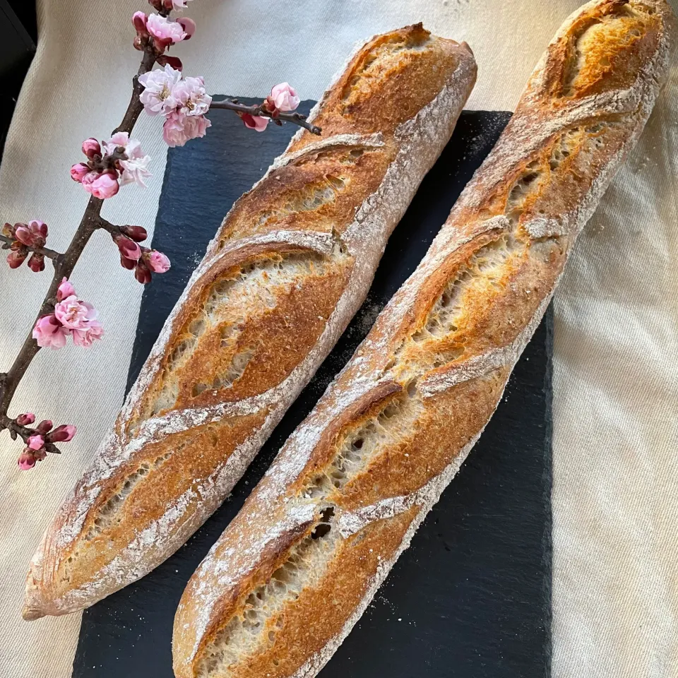 バゲット🥖|すと☺︎*☻さん