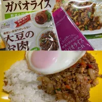 Snapdishの料理写真:ガパオライス。|ハーブと野菜のごはん。さん