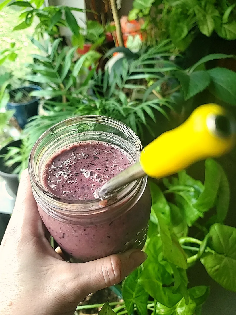 Blueberry and Greens Probiotic Smoothie|Ashさん