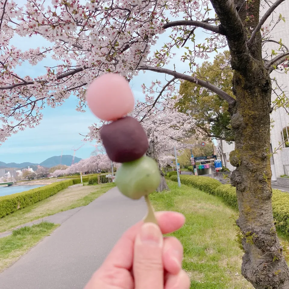 お花見だんご🌸🍡|ちゃみこさん