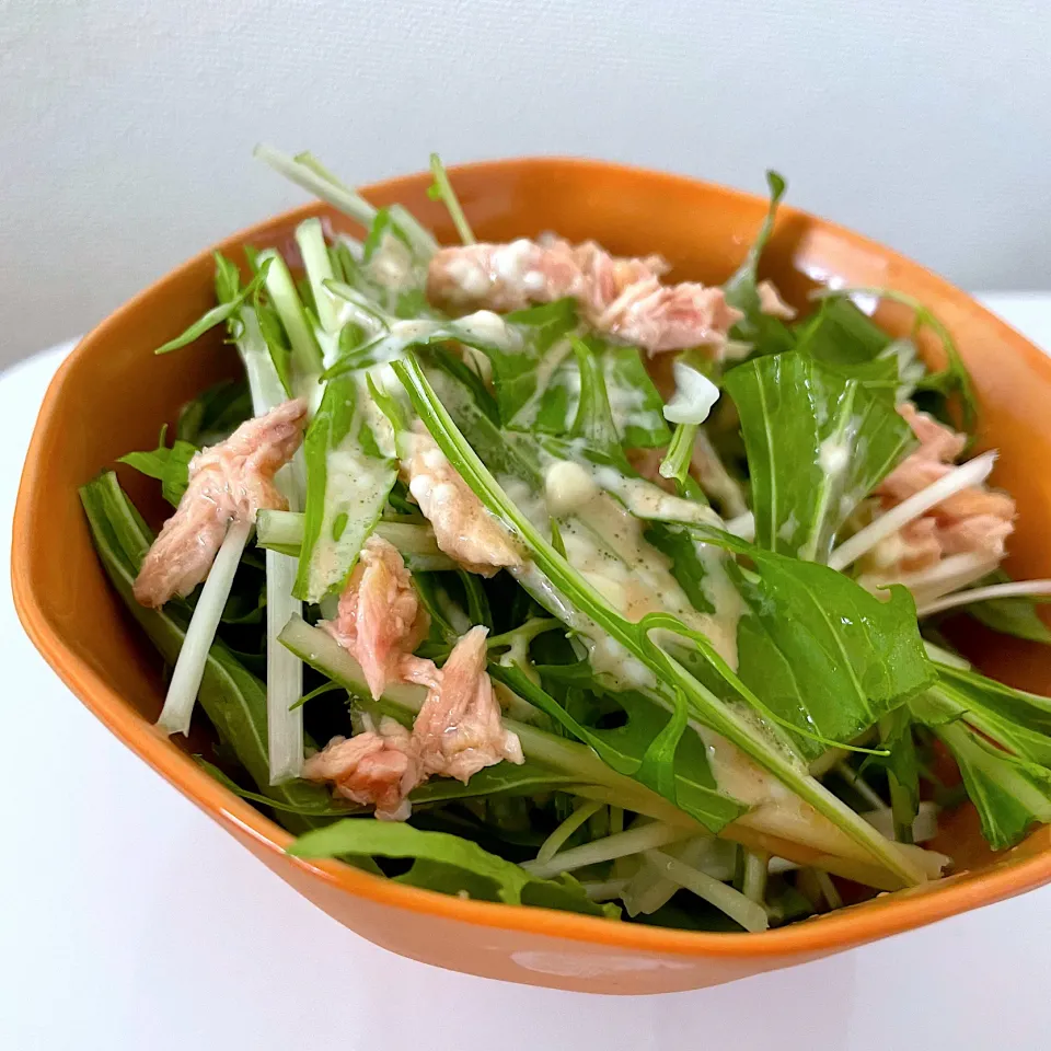 Snapdishの料理写真:ぽき。さんの料理 ドレッシングが決めて♡水菜とツナのサラダ。|りさこさん