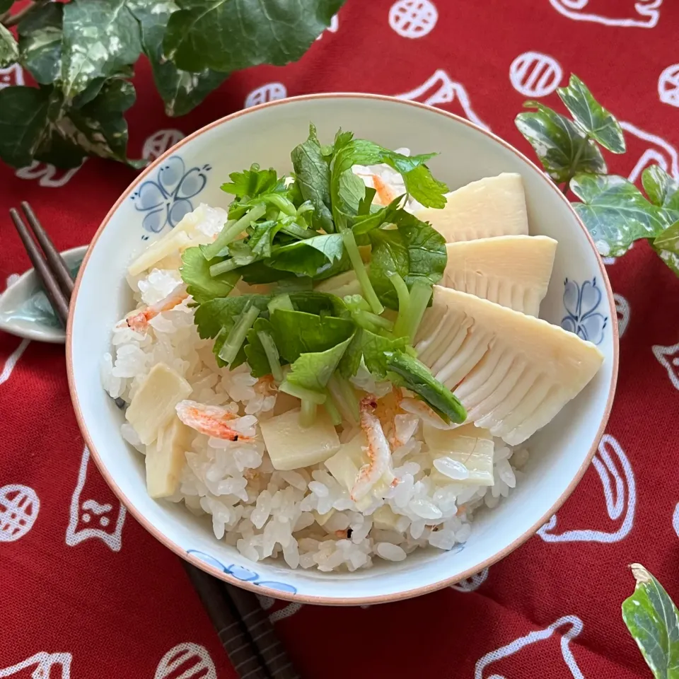 🌸初物食べて75日長生きしよう　桜エビと筍の炊き込みご飯🌸|Hollyさん