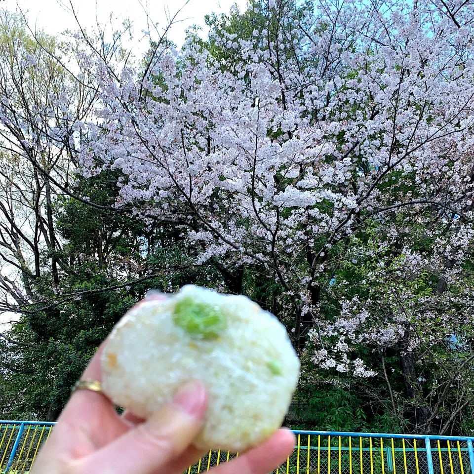 お昼ごはん(◍•ڡ•◍)❤|いつみさん