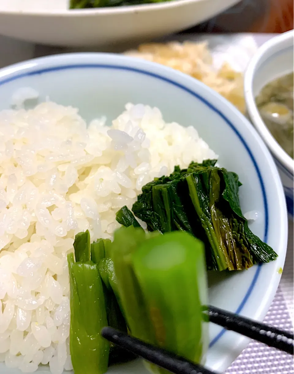 炊きたてご飯に高菜漬け　うんま〜い🍚|シュトママさん