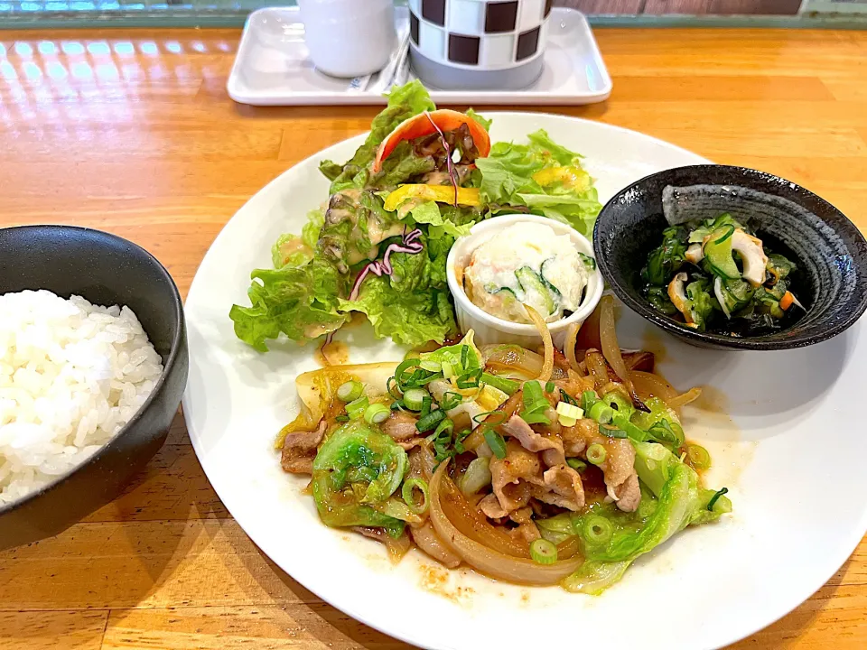 今日のランチは🍽 豚肉と春キャベツのみそ炒め✨|yokoさん