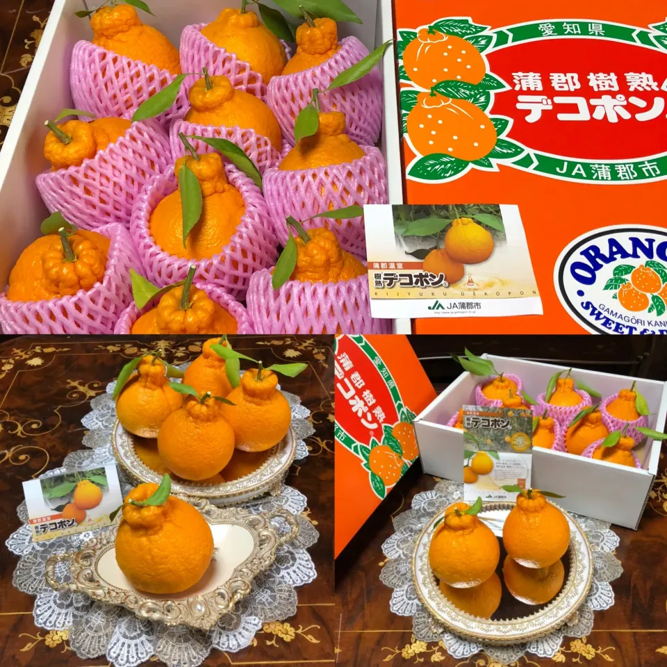 henryさんの料理 地元　蒲郡　樹熟デコポン🍊|henryさん