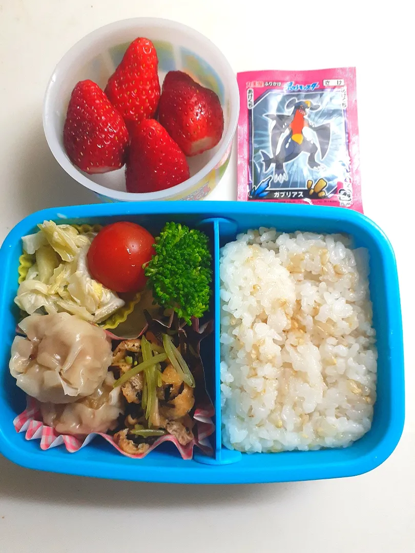 Snapdishの料理写真:☆小学生弁当☆玄米入りごはん、振りかけ、ひじき煮物、焼売、ブロッコリー、ミニトマト、キャベツと牛蒡サラダ|ｼｮｺﾗさん