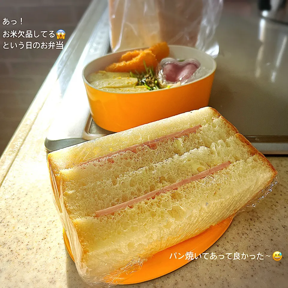 Snapdishの料理写真:お弁当　2022/4/8|chieko ♪さん