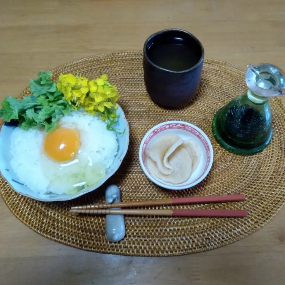 2022.4.6 ランチ

卵掛けご飯 菜種菜添え
切り干し大根ハリハリ

.|tamikichiさん